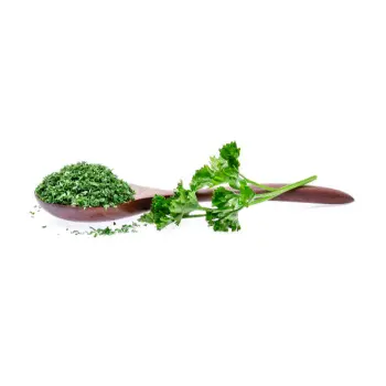 Fresh Dried Coriander Leaves